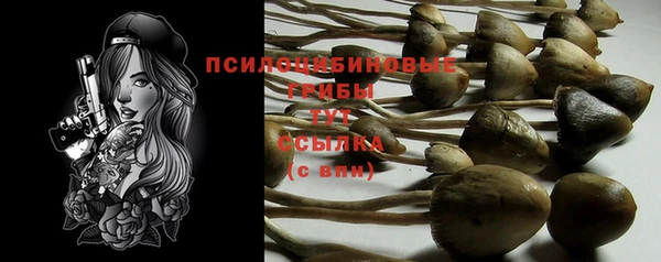 СК Алзамай
