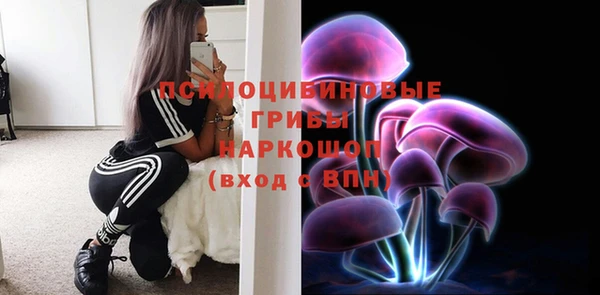 мяу мяу кристалл Алексин
