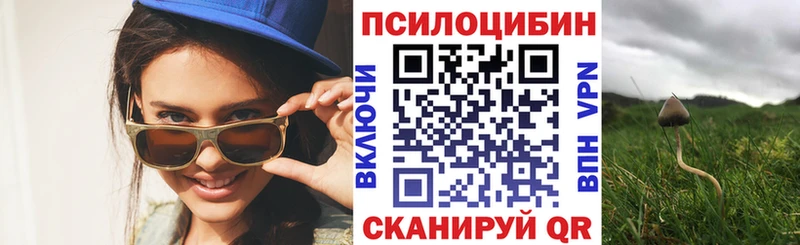 hydra ТОР  Долинск  Галлюциногенные грибы прущие грибы 